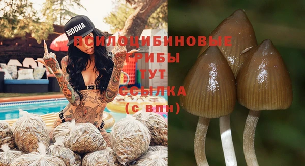 таблы Аркадак