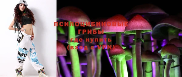 таблы Аркадак